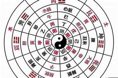 五行旺金|八字中的五行金该如何理解 八字五行金旺的人忌讳什么